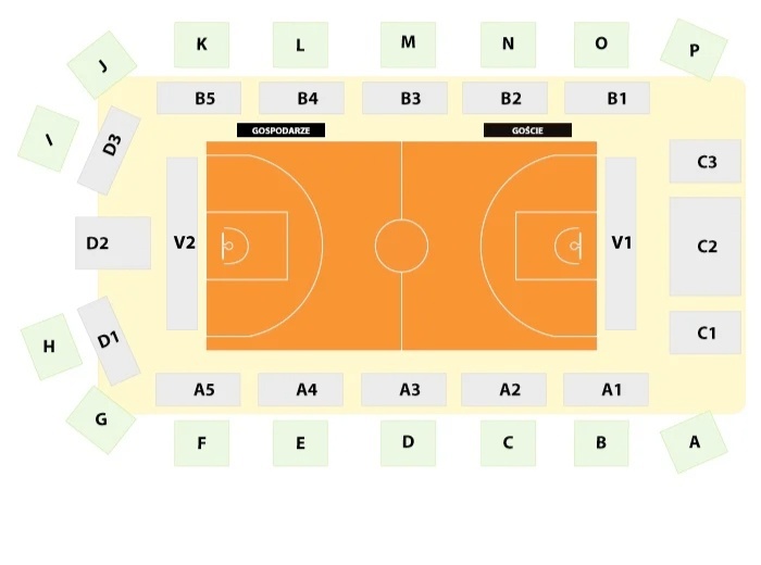 WKS Śląsk Wrocław vs Dziki Warszawa